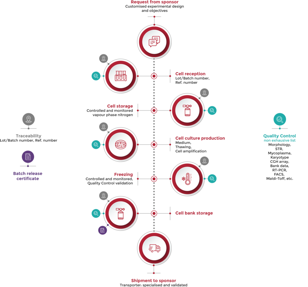 Culture & Banking Process Culture & Banking Process