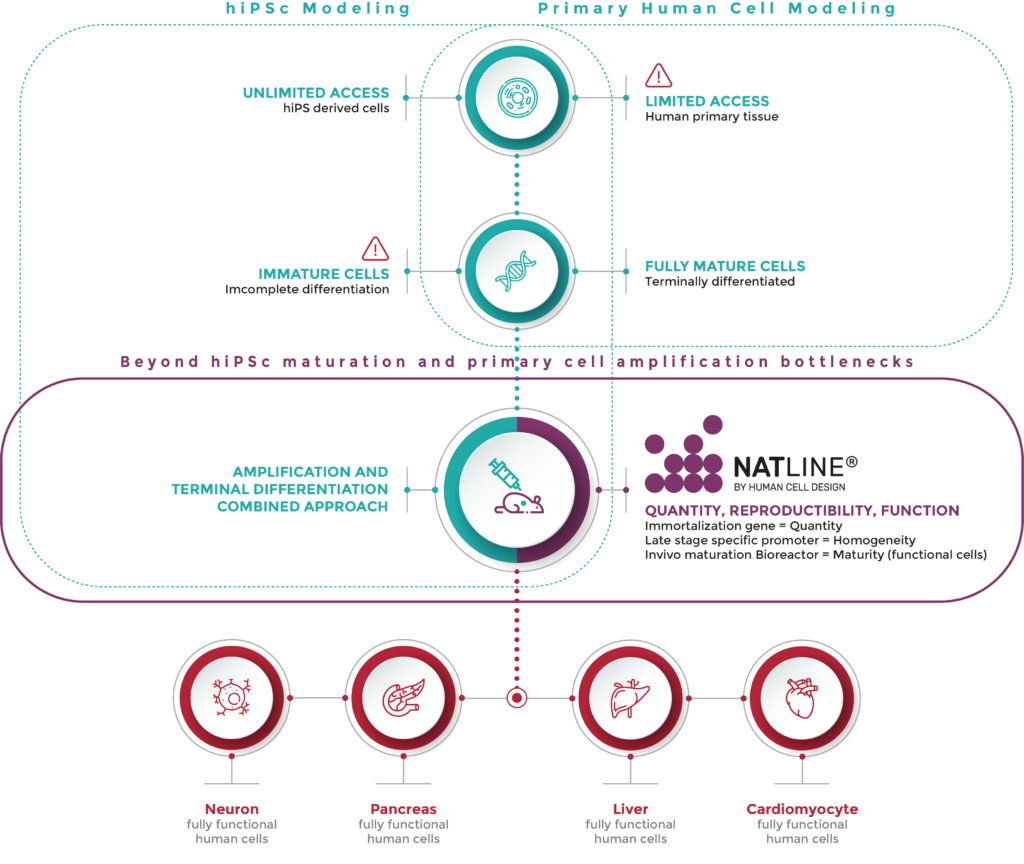 human-cell-design-schema-natline-platform human-cell-design-schema-natline-platform