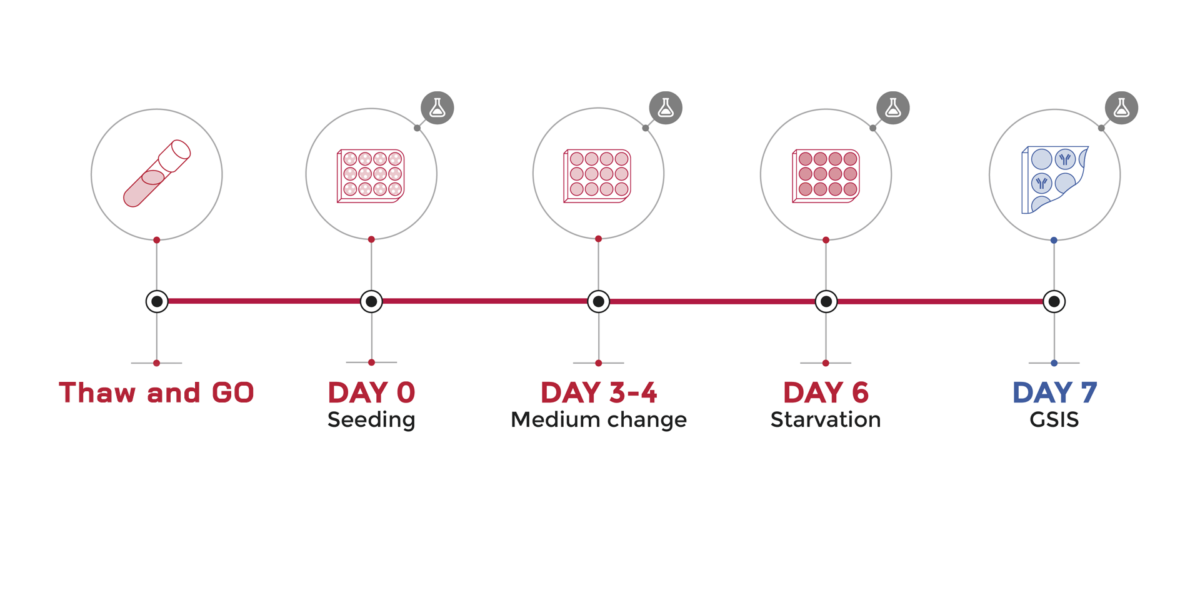 bh5-culture-process-user-guide-schema-human-cell-design-design-process-short
