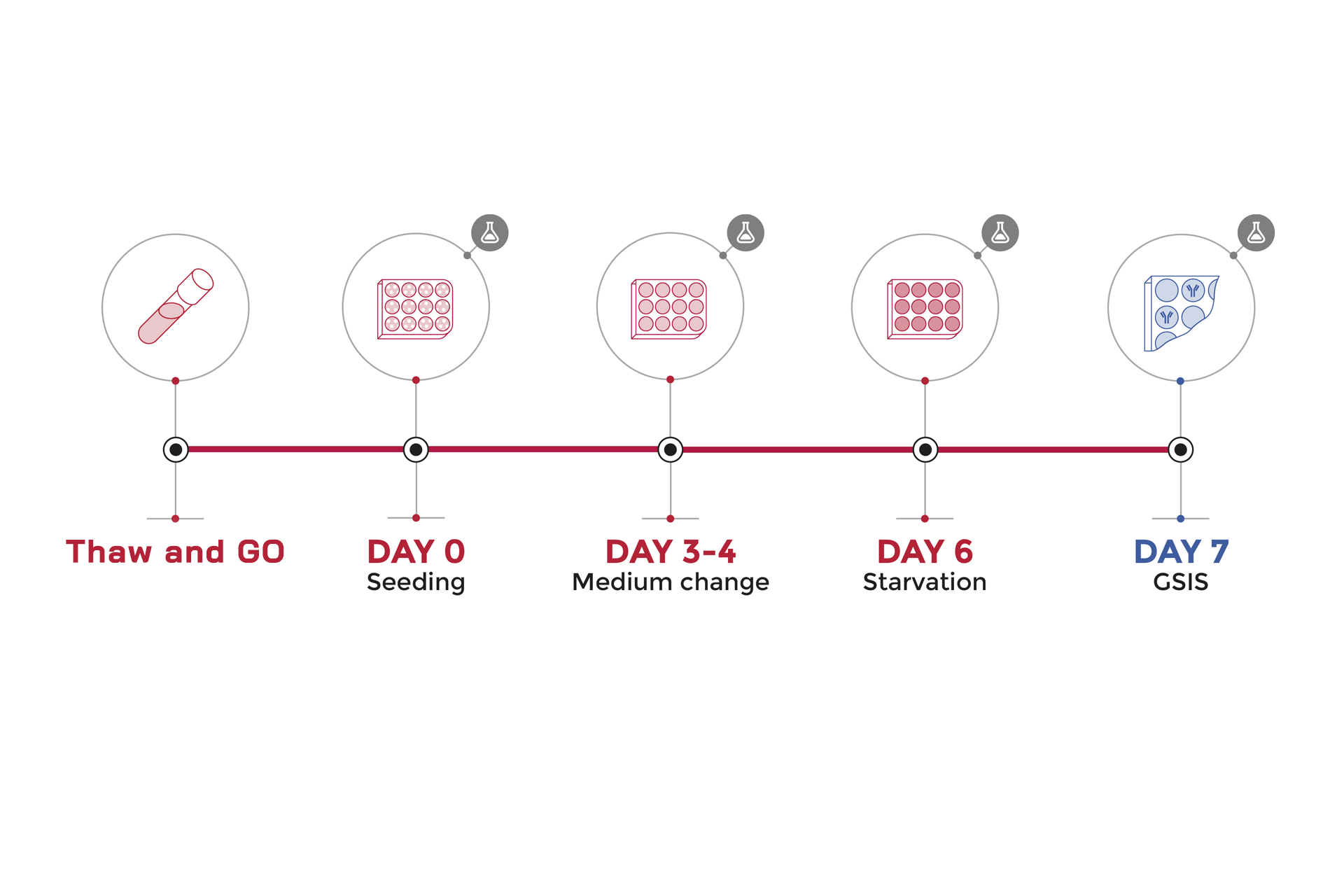 bh5-culture-process-user-guide-schema-human-cell-design-design-process-short