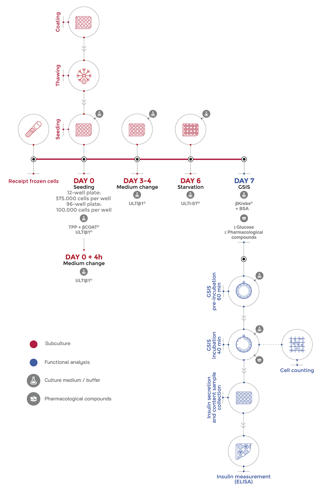 user-guide-endoc-bh5-human-cell-design-2021-02-infography-introduction-1080px