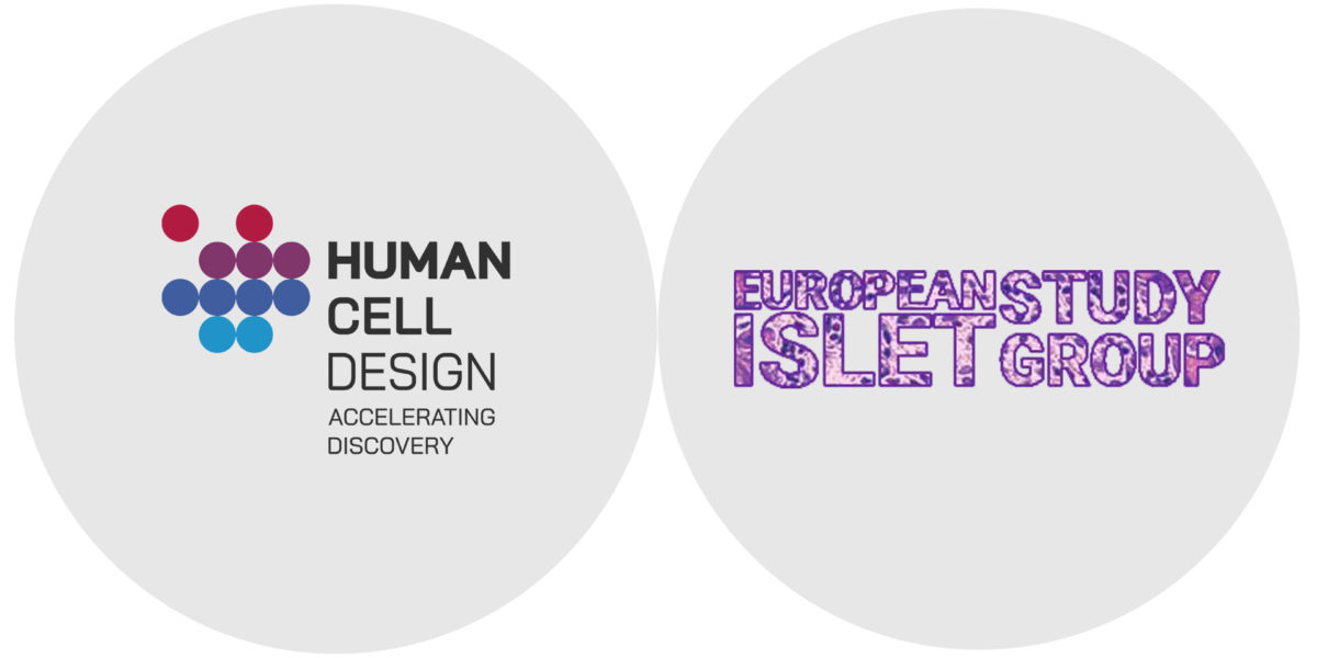 news-human-cell-at-european-study-islet-group-strasbourg-2022