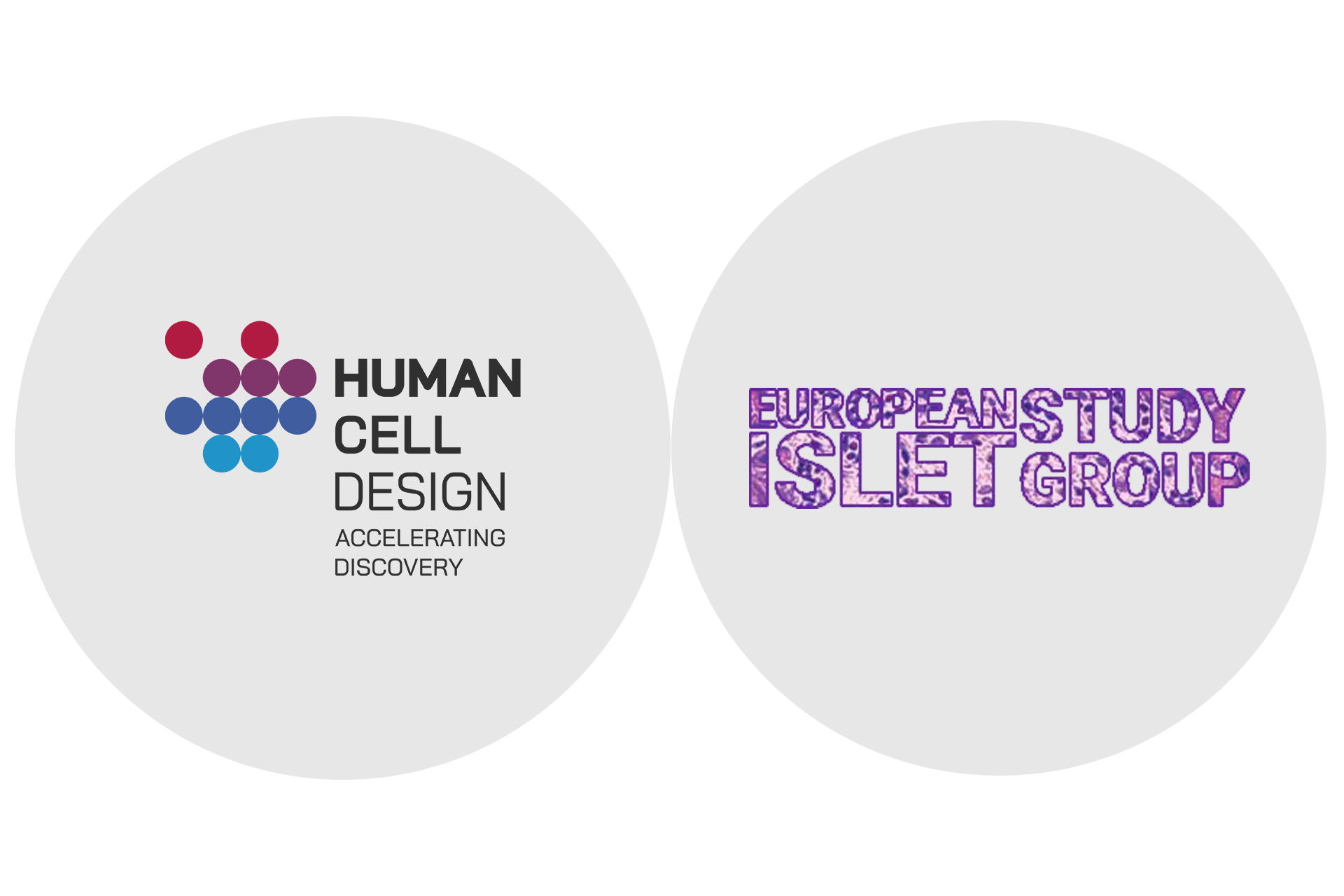 news-human-cell-at-european-study-islet-group-strasbourg-2022