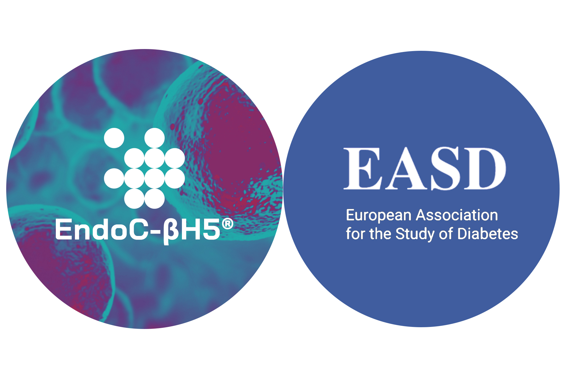 news-human-cell-design-endoc-bh5-European-Association-for-the-Study-of-Diabetes-EASD-2022