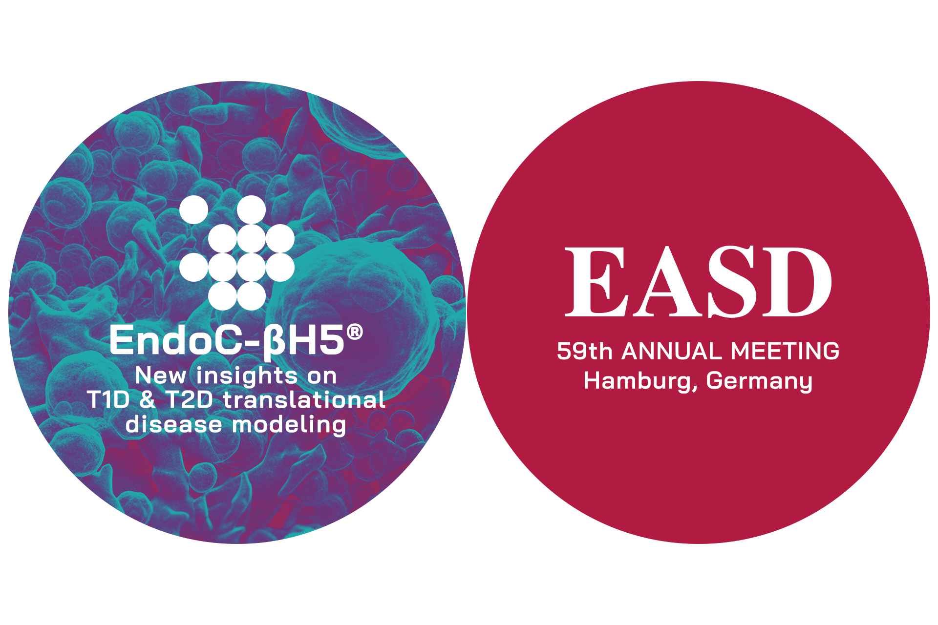 news-human-cell-design-endoc-bh5-EASD-2023