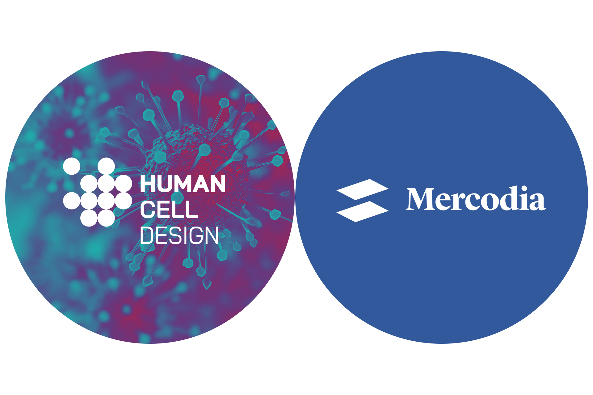 news-human-cell-design-endoc-bh5-webinar-2023-11