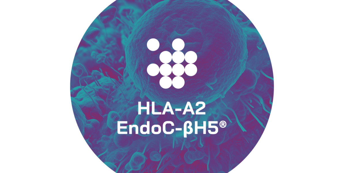 news-human-cell-design-hla-a2-endoc-bh5-launch-2024-01