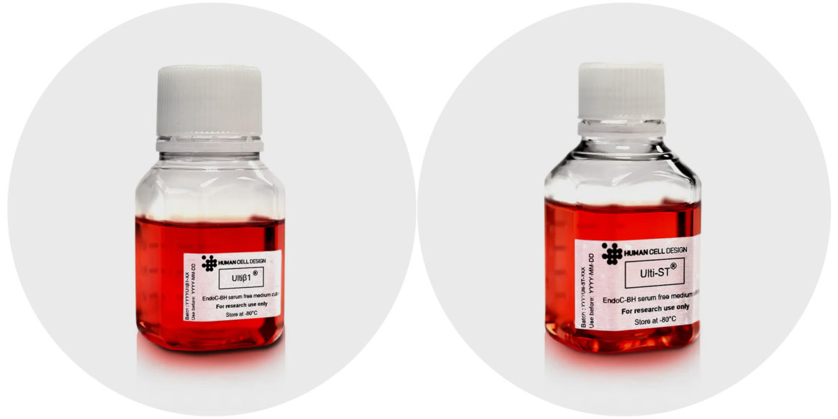 news-human-cell-design-ultib1-ulti-st-2024-02