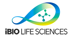 distributor-human-cell-design-ibio-life-science distributor-human-cell-design-ibio-life-science