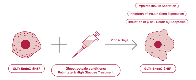 GLTx Experimental Protocol GLTx Experimental Protocol