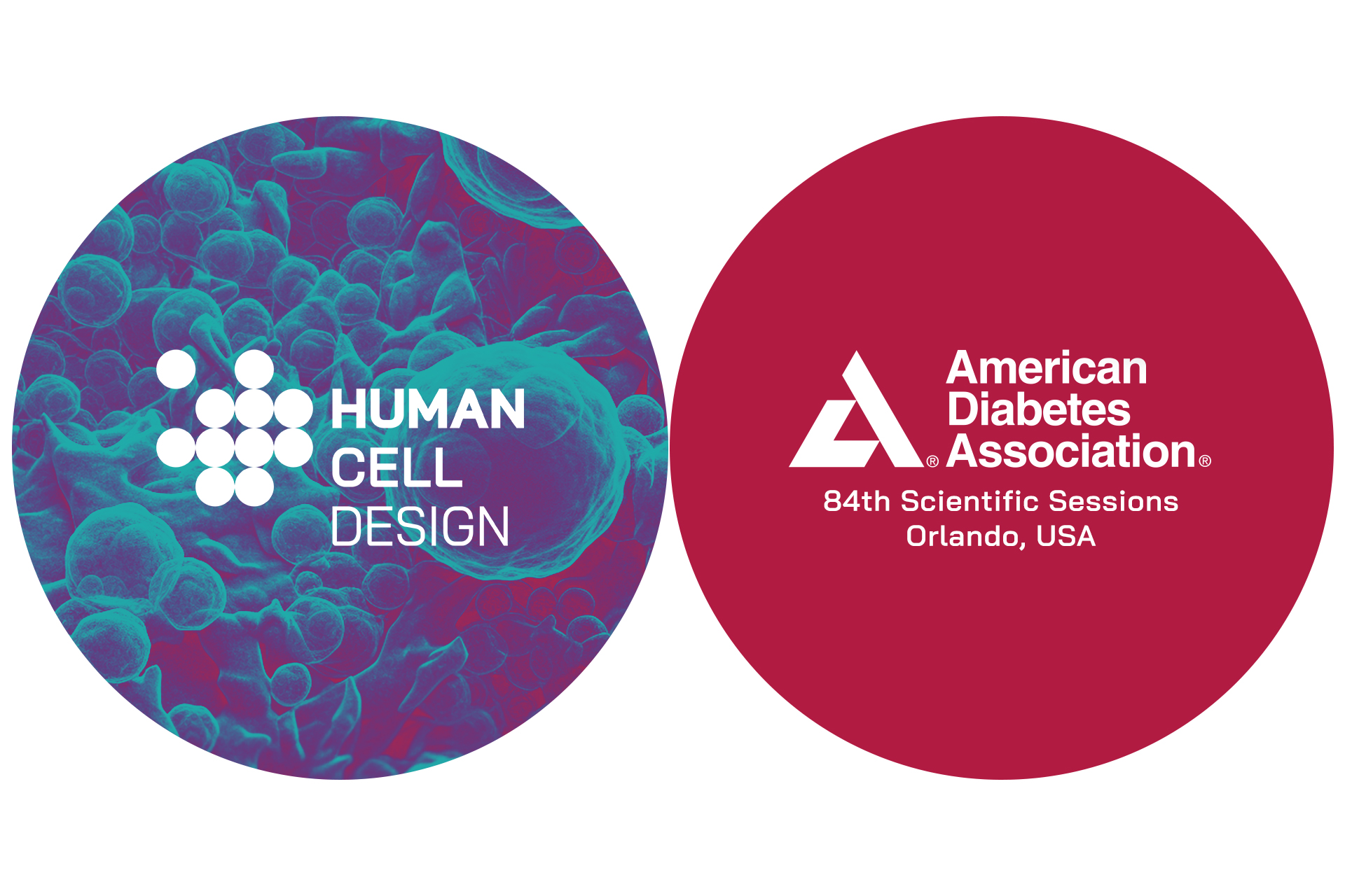 news-human-cell-design-endoc-ADA-2024