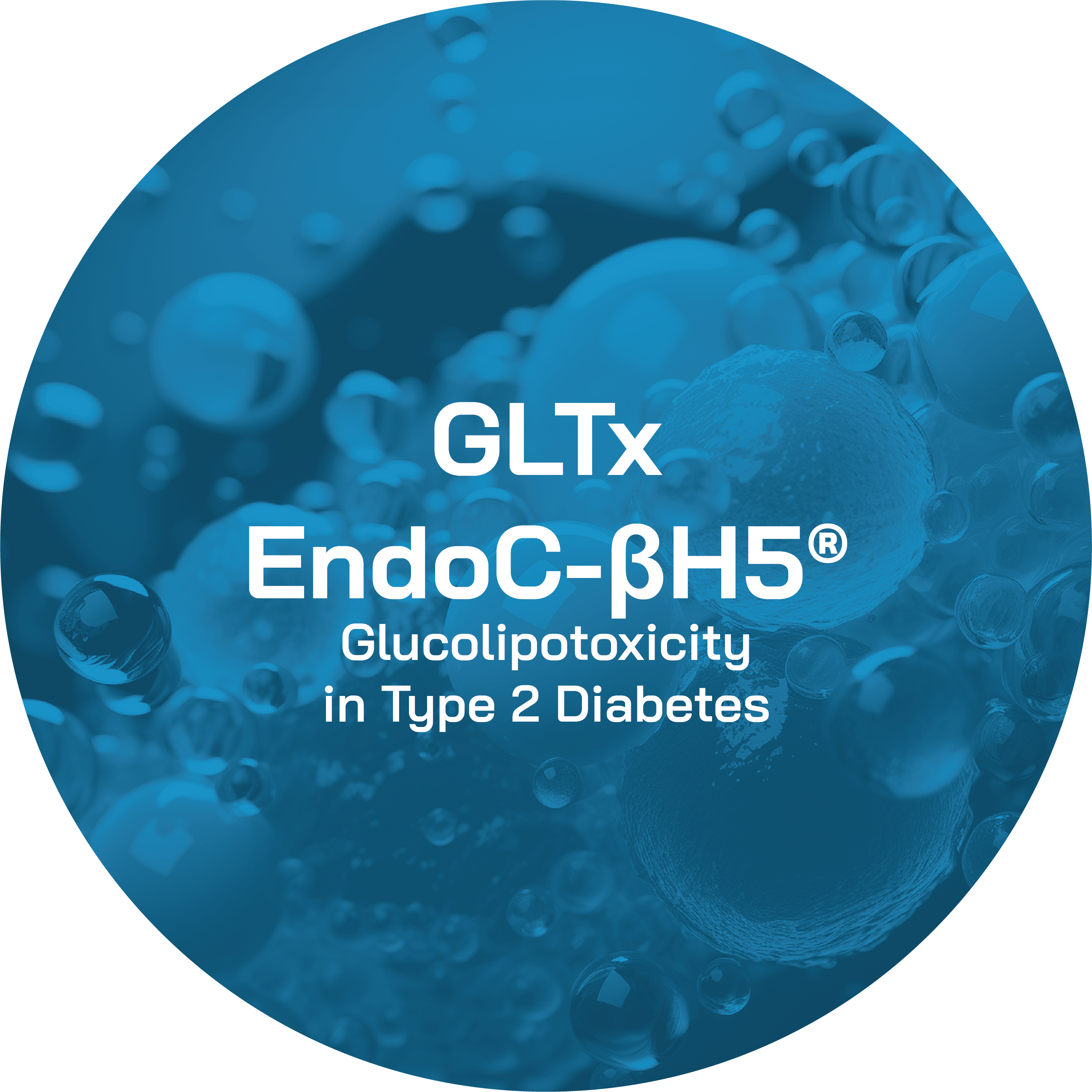 GLTx EndoC-BH5 GLTx EndoC-BH5