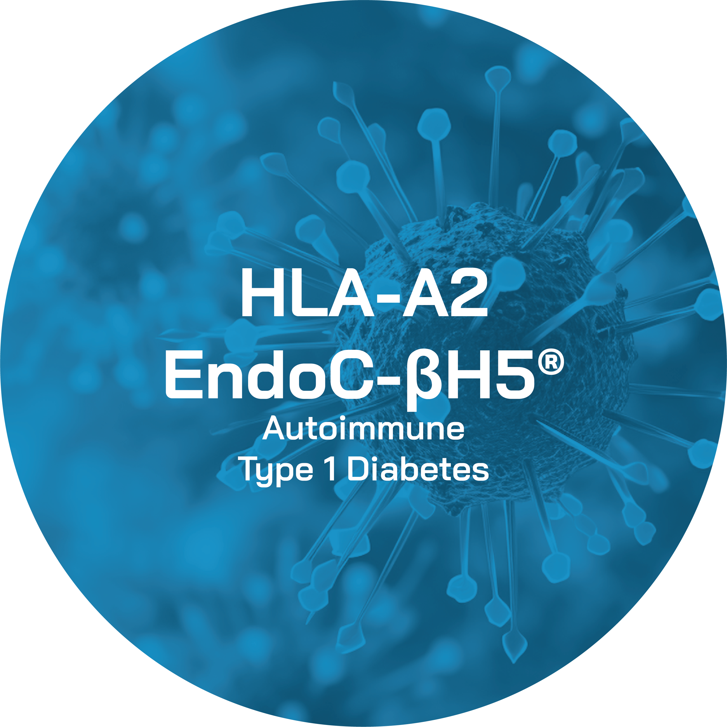 HLA-A2 EndoC-BH5 HLA-A2 EndoC-BH5