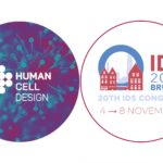 Immunology Diabetes Study 2024 Conference Poster